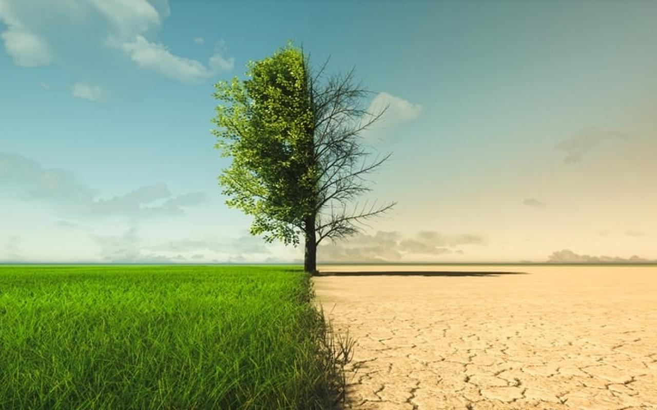Il cambiamento climatico dalla siccità alla crescita verde