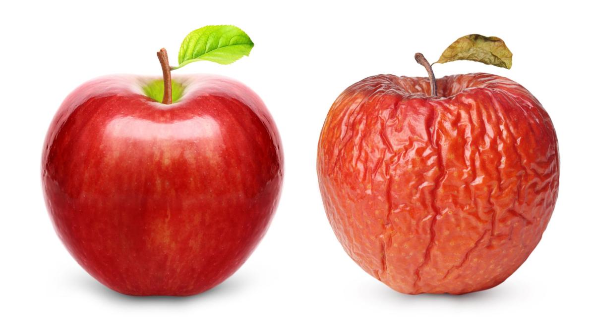 Inflamm-aging: come la parodontite può aggravare il nostro (naturale) invecchiamento